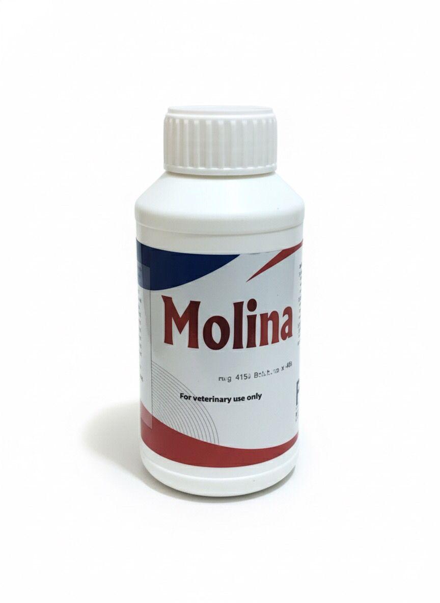 Molina